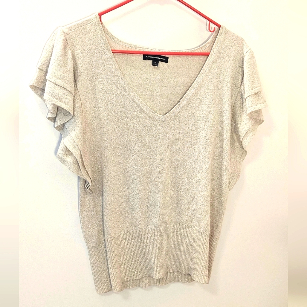 Express Design Studio sparkly sweater